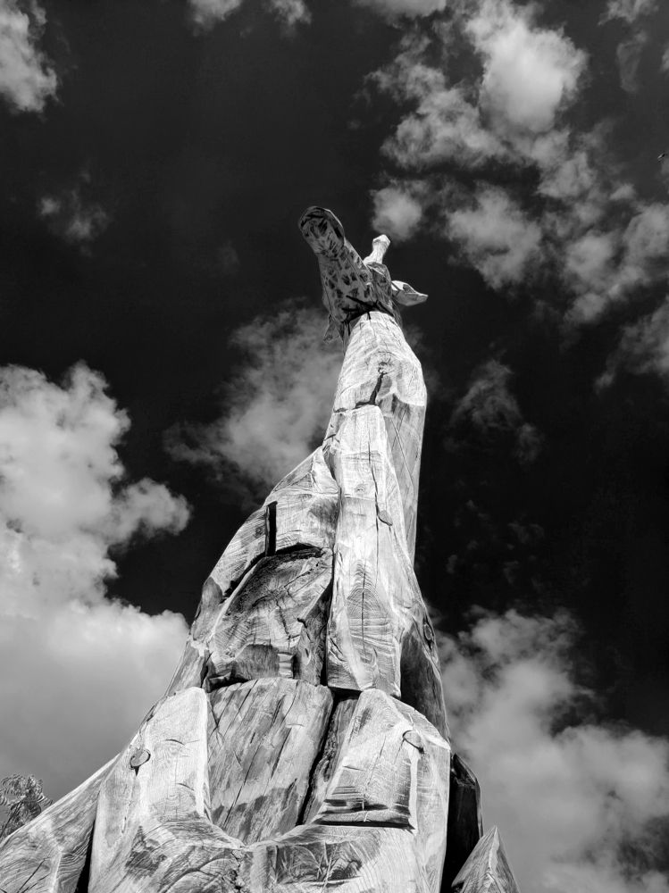 Photograph by Виктория Савчук