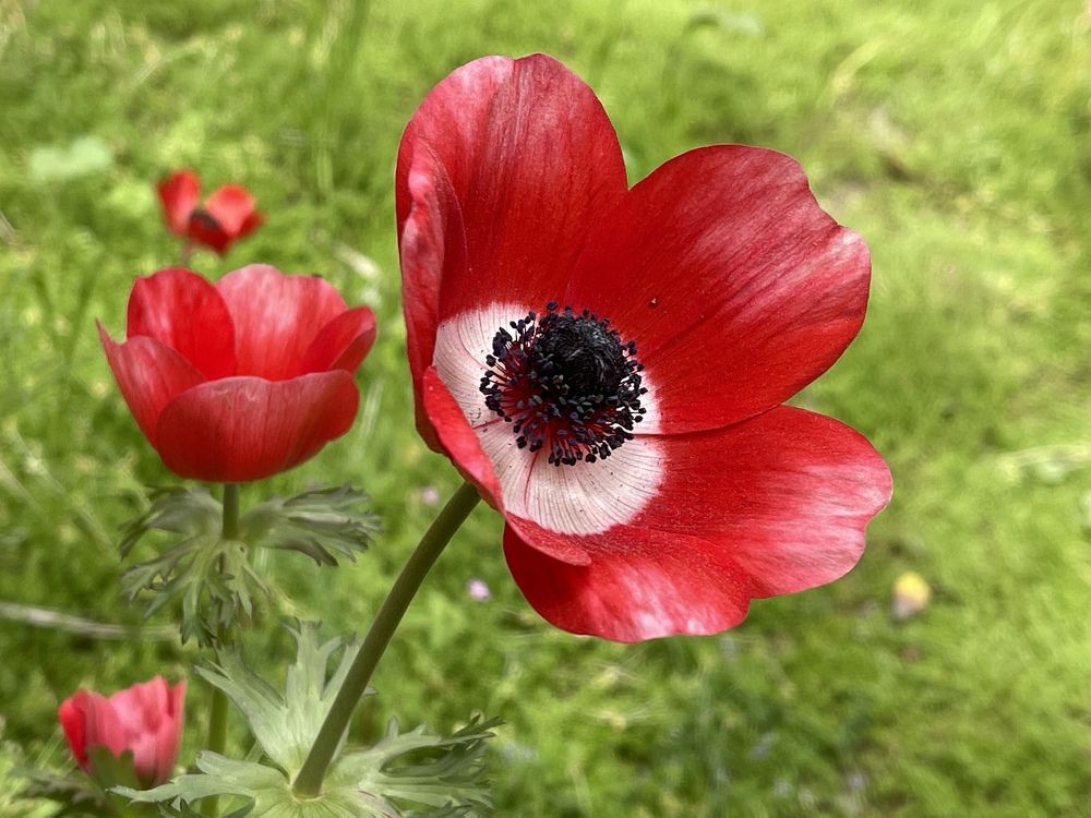 Photograph by Ilana Gil