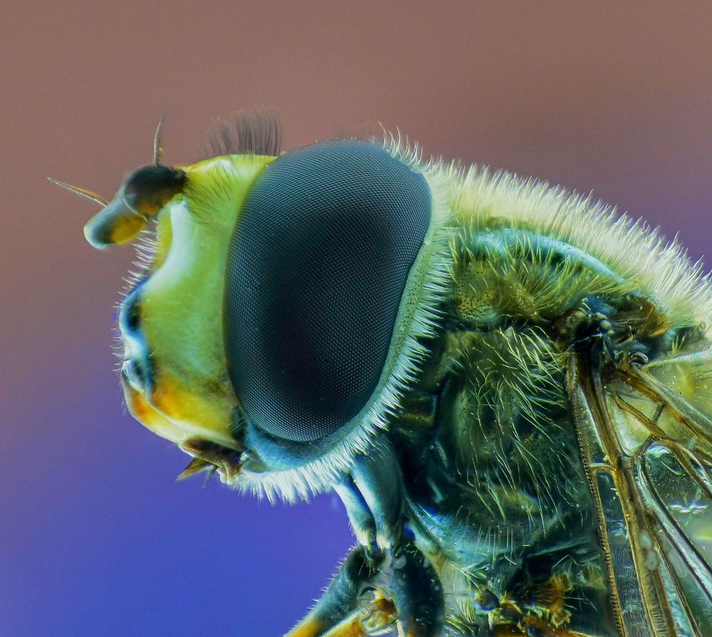 Photograph by Abbas Rayan Benhorma