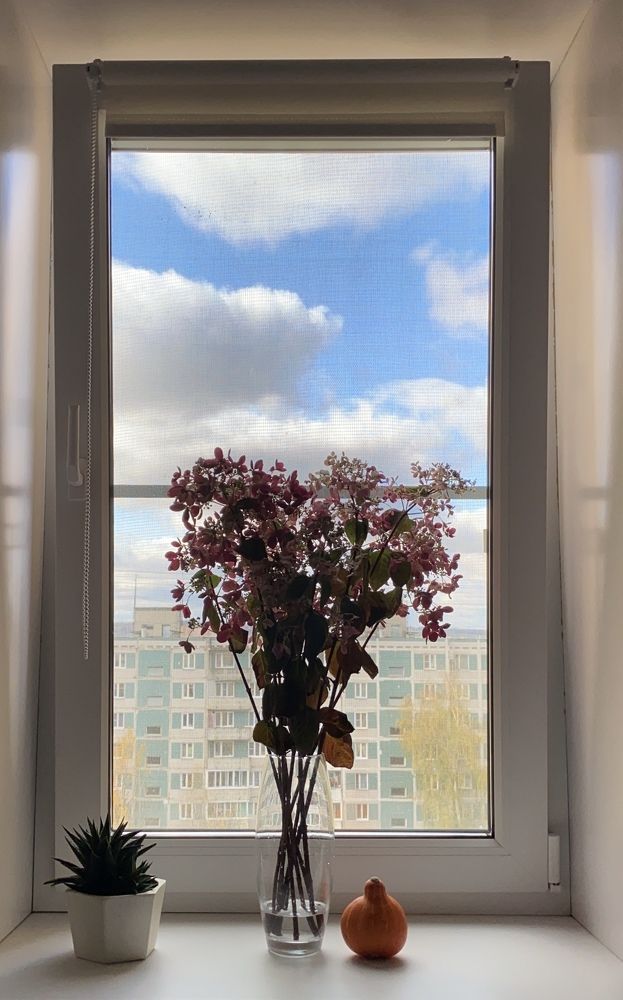 Photograph by Юлия Ефремова