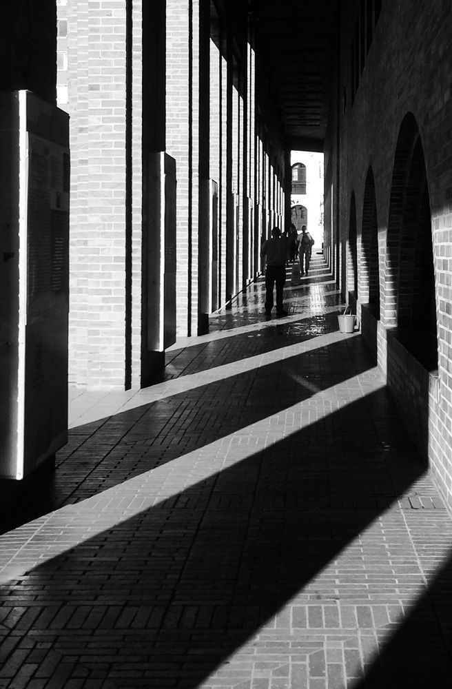 Фотография автора Fernando orozco fajuri