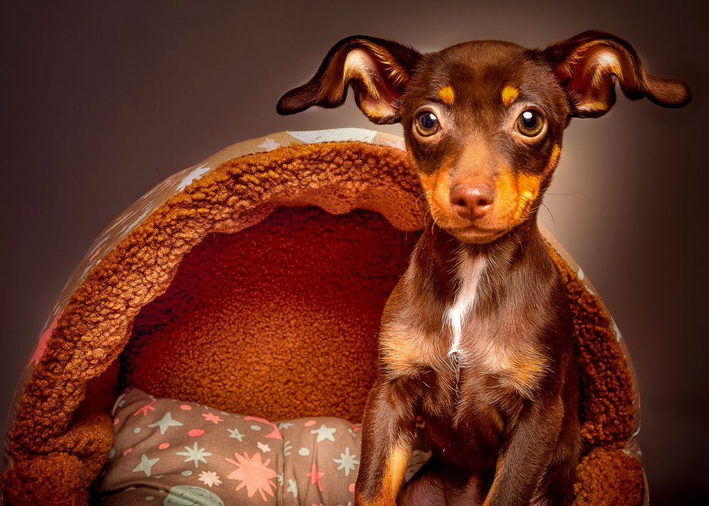 Photograph by Генри Морган