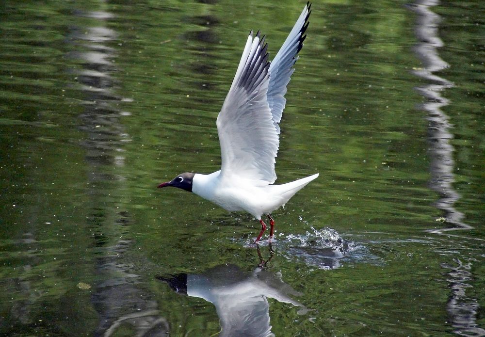 Photograph by Евгений Жиляев