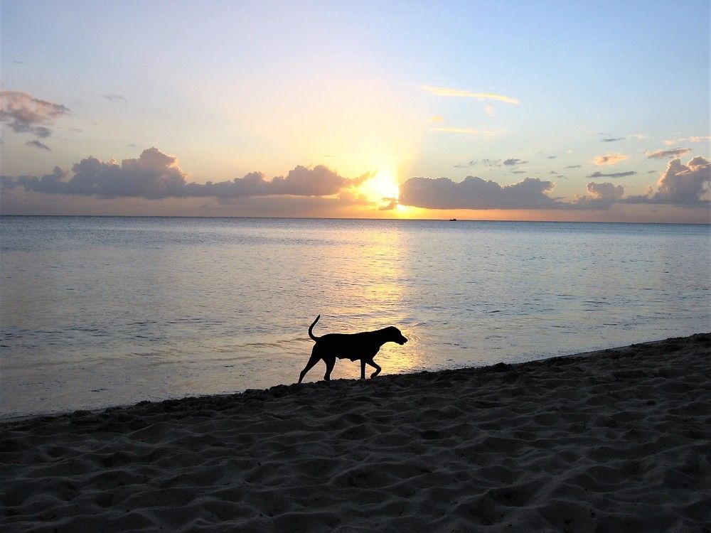 Photo #7499947