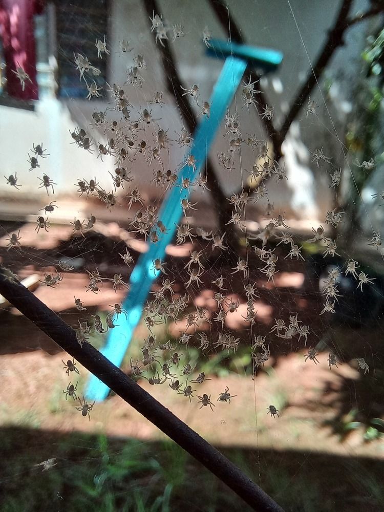 Photo #7499952