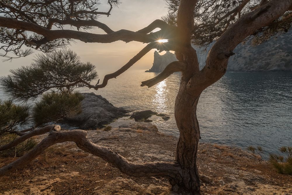 В Новом Свете...весеннее.