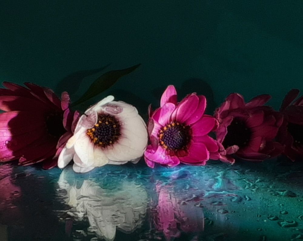 Photograph by María Cristina Umpierréz