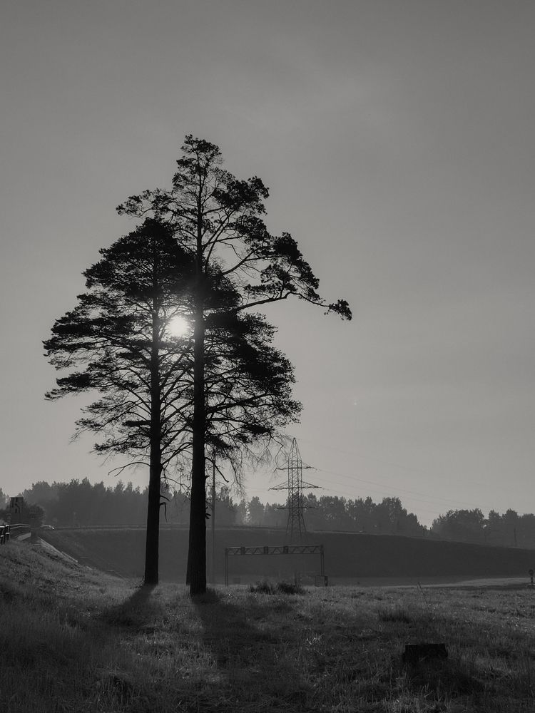 Photo #7500010