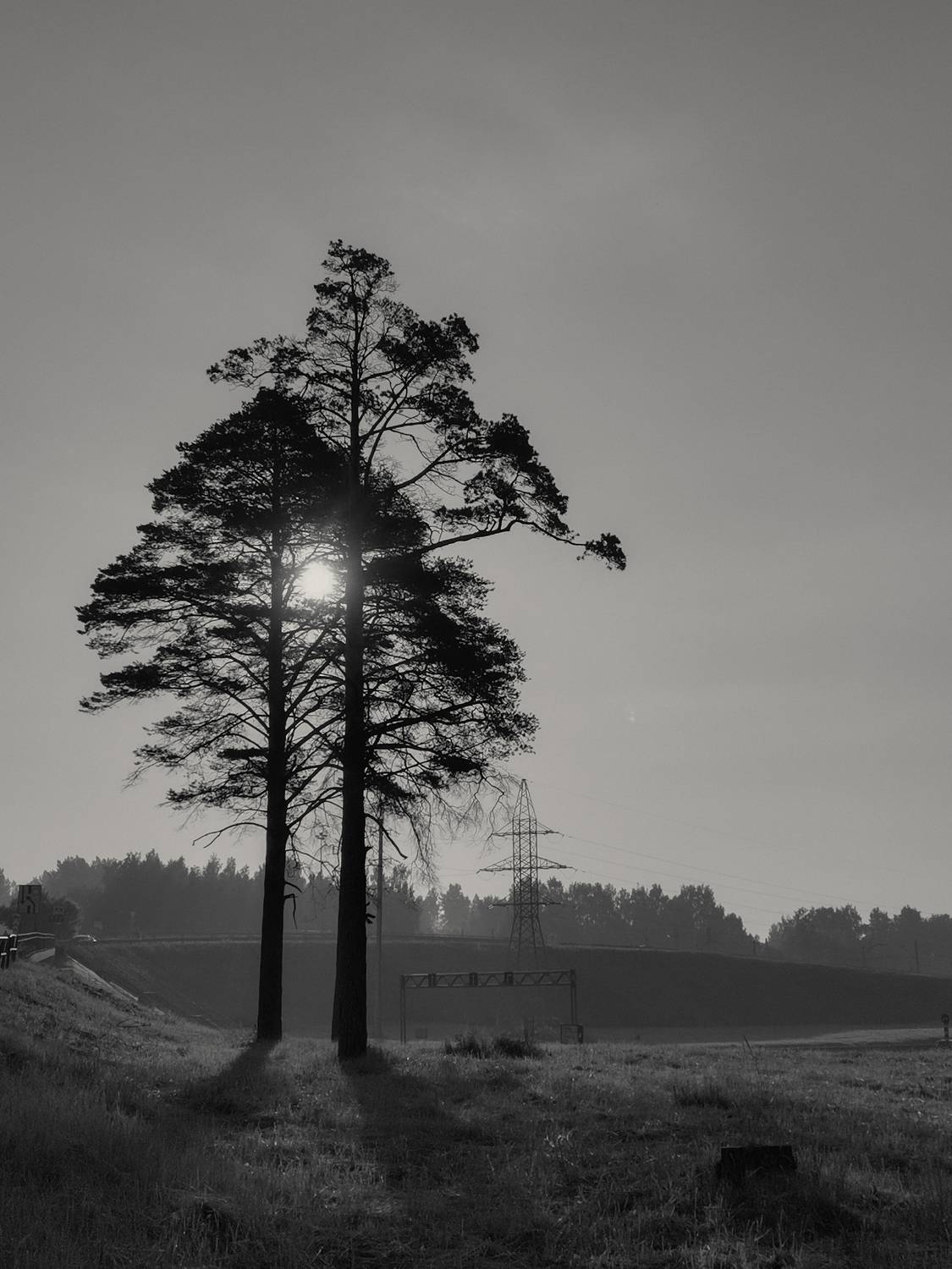 Photo #7500010