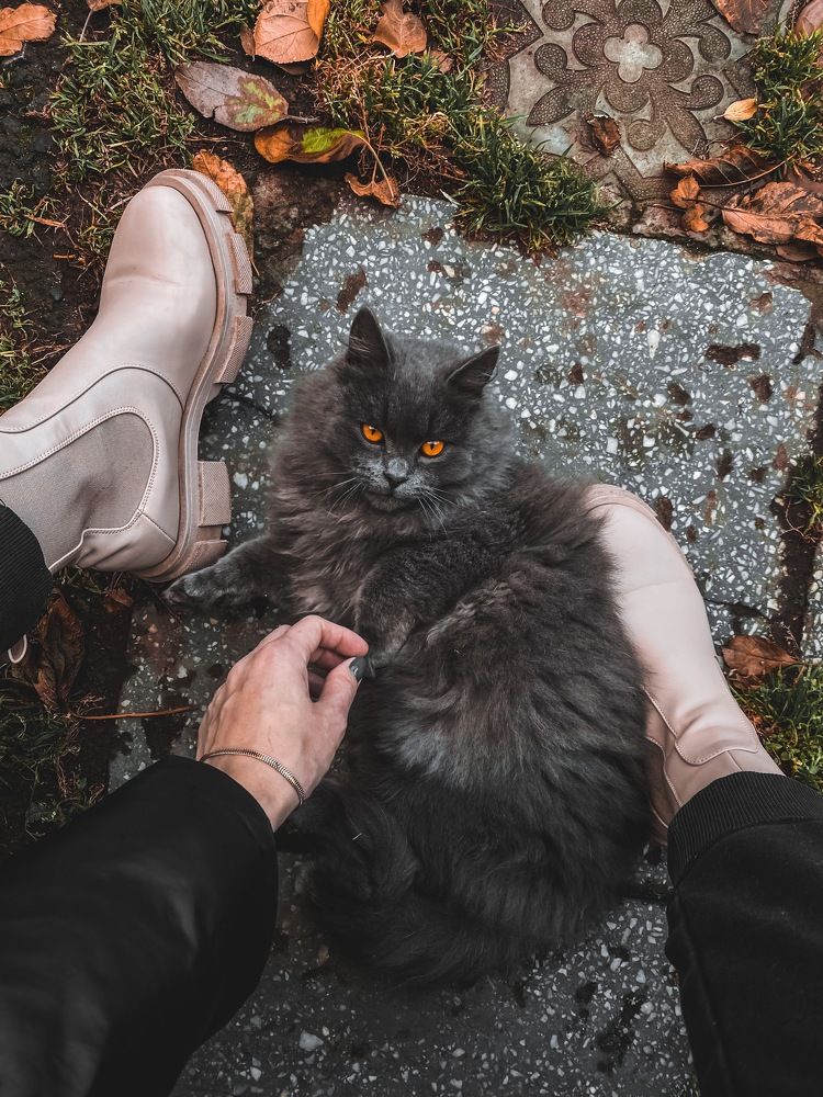 Photograph by Марина Виноградова