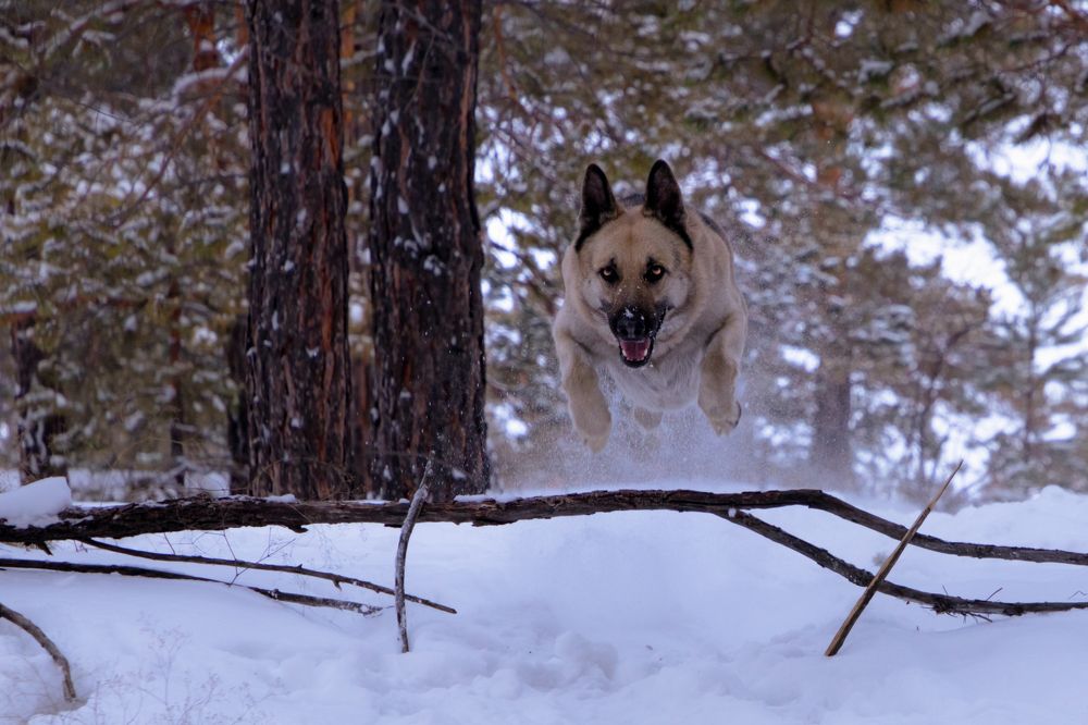 Photograph by Ермек Кожанбердинов