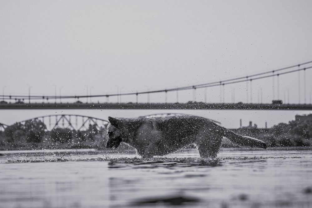 Photograph by Ермек Кожанбердинов