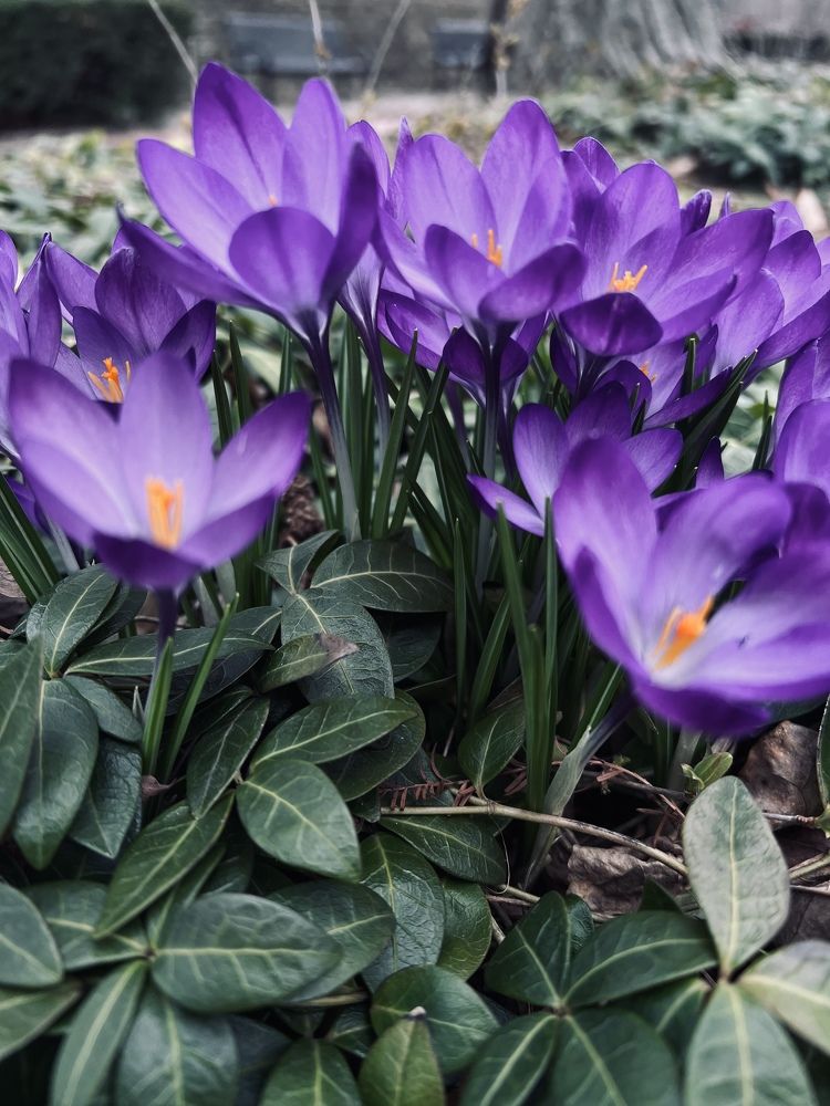 Photograph by Iryna Marchuk