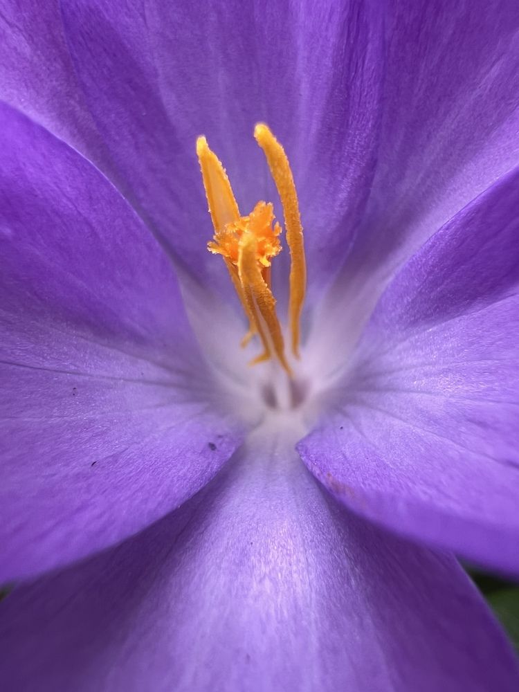 Photograph by Iryna Marchuk