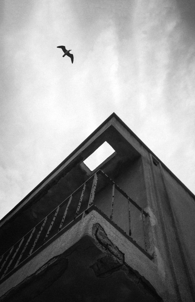 Photograph by Morteza Ghanbari