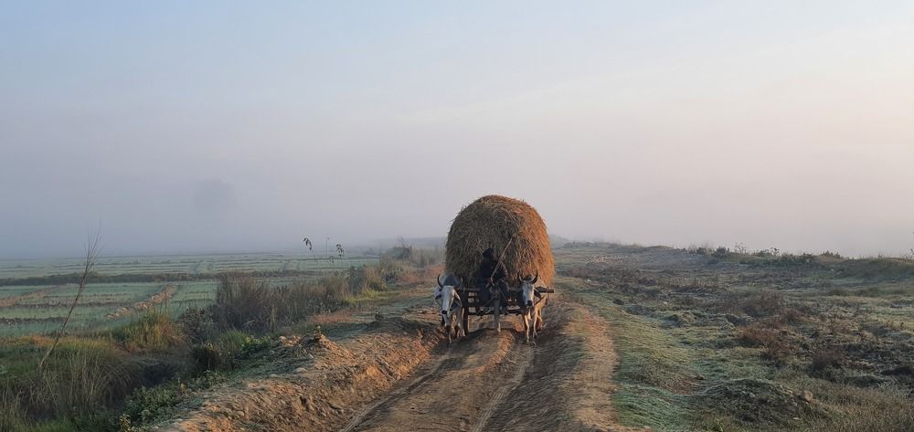 Photograph by Krishna Kunwar