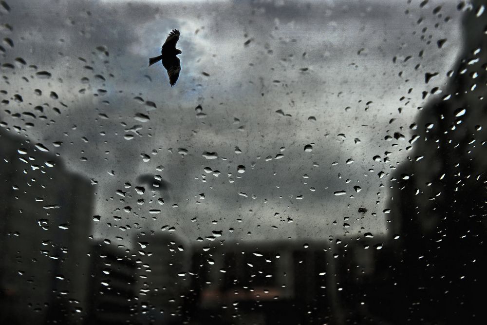 Photograph by Игорь Шадрин