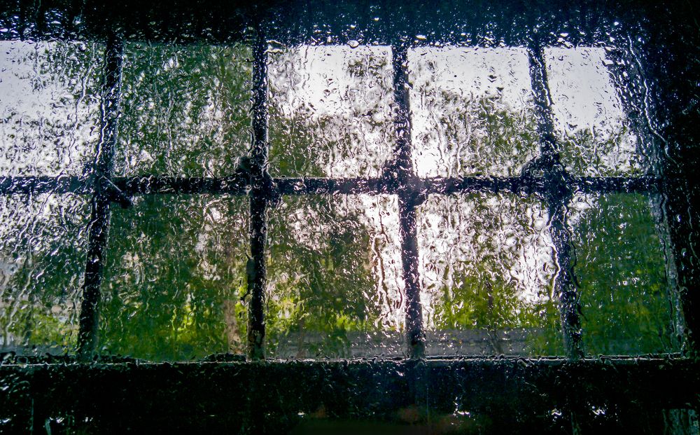 Photograph by Игорь Шадрин