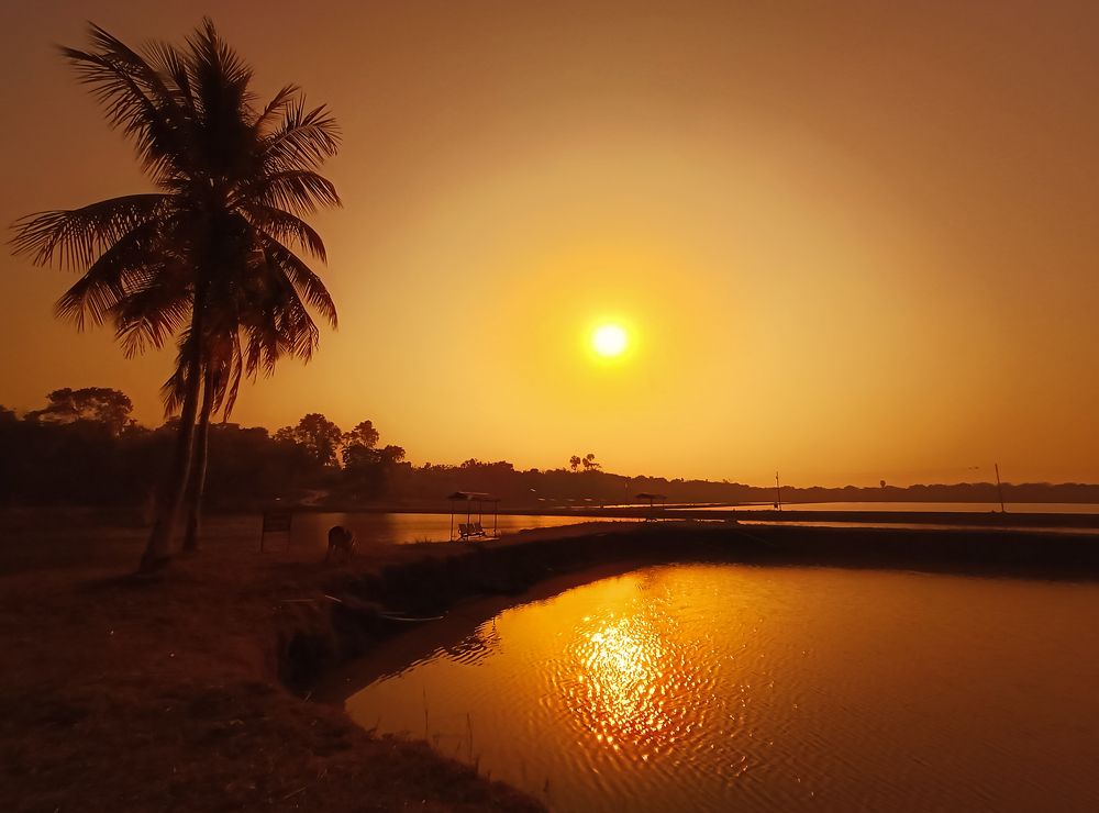 Sunlight falls in weaving water