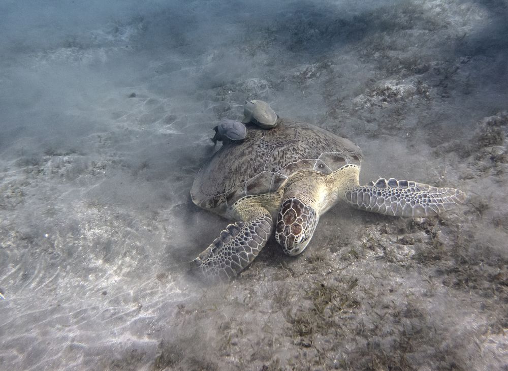 Photograph by Галина Михоношина