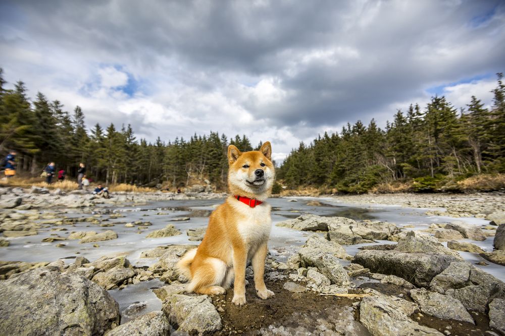 Photograph by Андрей Михайлов