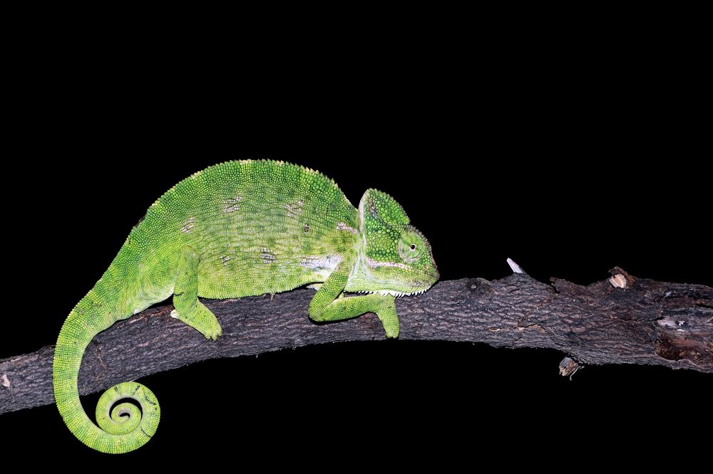 Photograph by Sandip Kamble