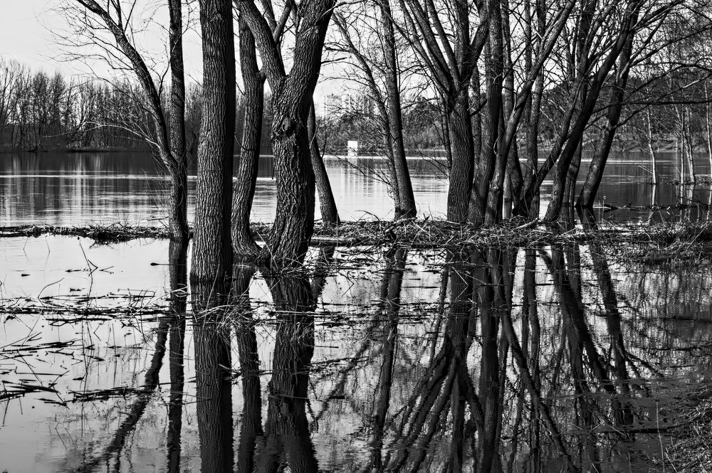 Photograph by Евгений Козлов