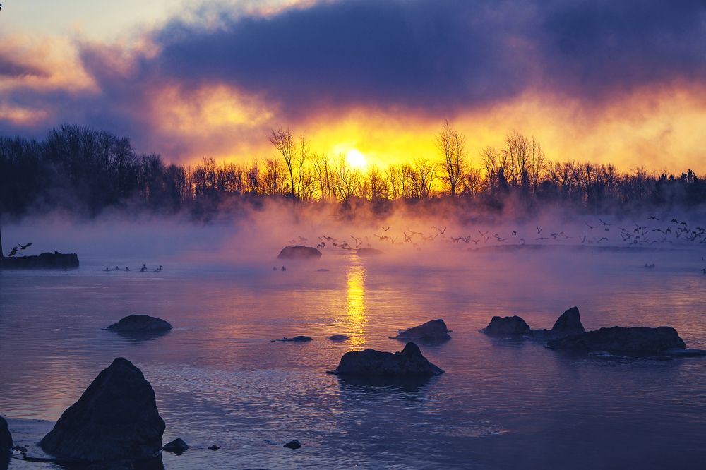 Photograph by Александр Пургин