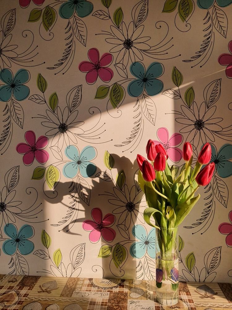 Photo #7500348