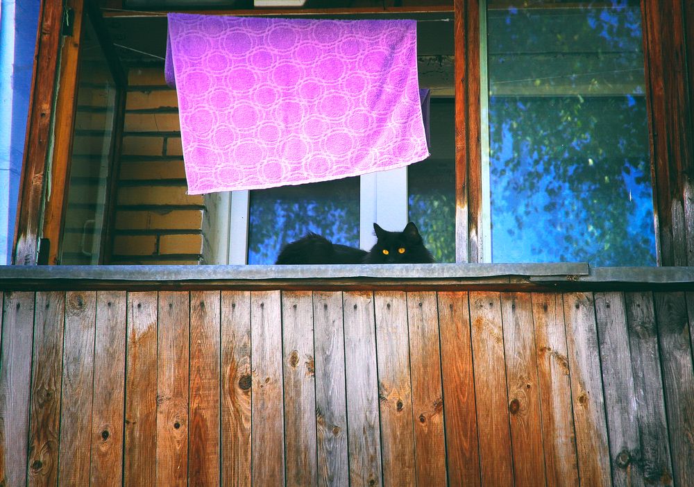 Photograph by Red Pashechka