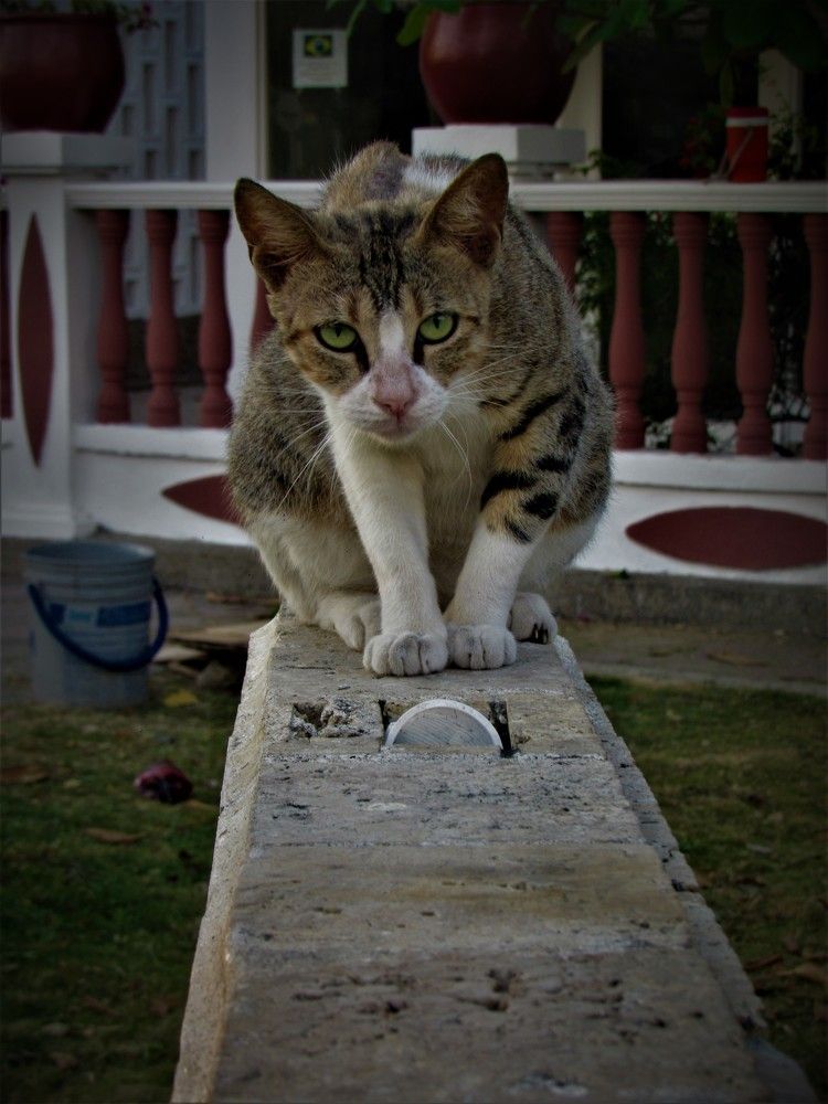 Photograph by Luis Alfredo Morales Torres