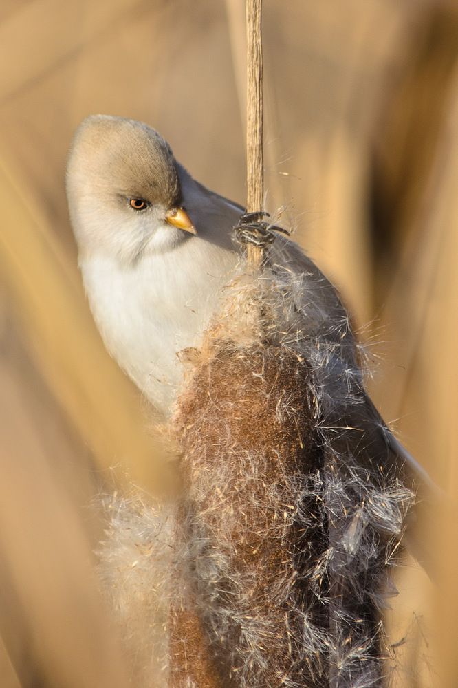 Photograph by Оксана Маховская