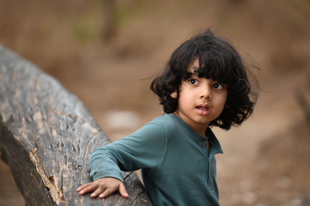 Photograph by Shabeerali Munakkal Shamsu