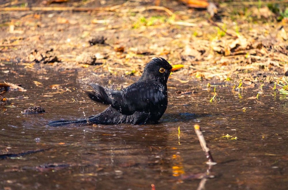 Photograph by Парфентьев Антон