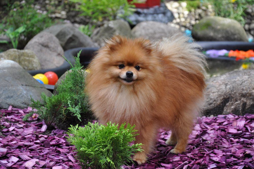 Photograph by Александр Кудрявцев