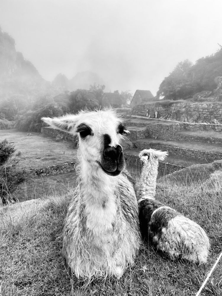 Photograph by Evgenia