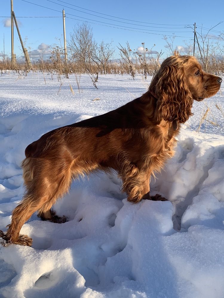 Photograph by Светлана Пономаренко