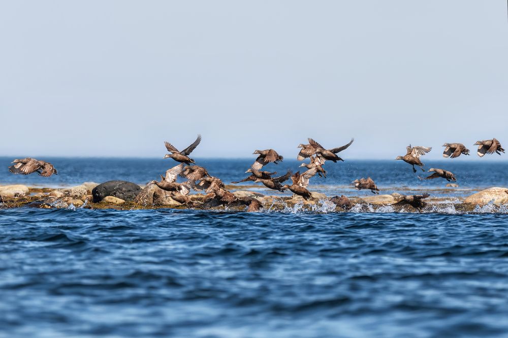 Photograph by Ирина Ульянова