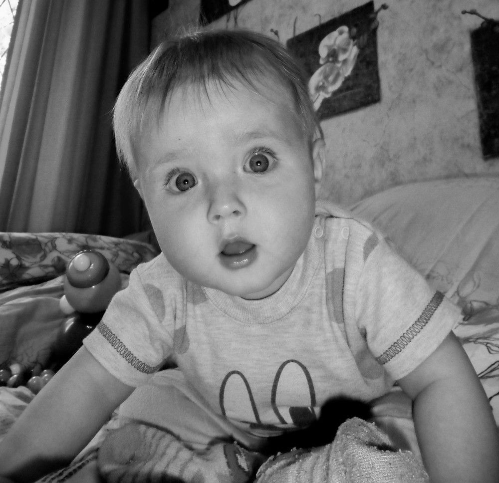 Photo #7500543