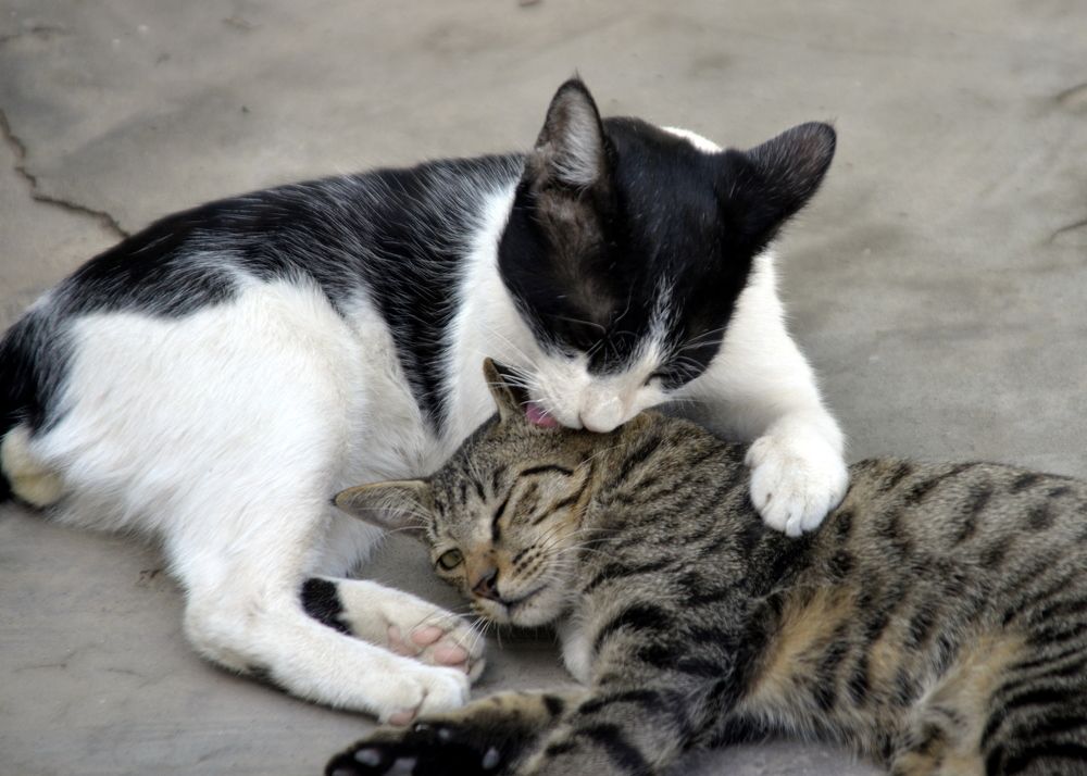 Photograph by MAHMOOD AKBAR