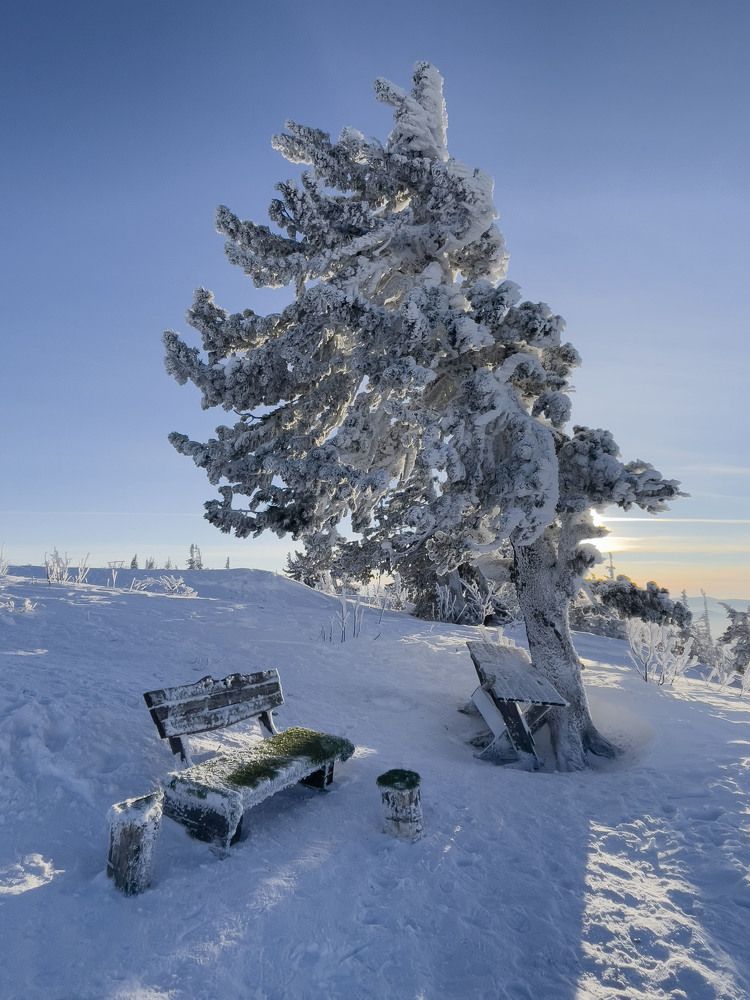 Photograph by Елена Князева