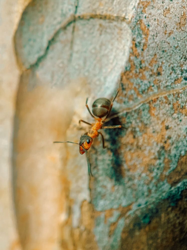 Photograph by Яна Полякова