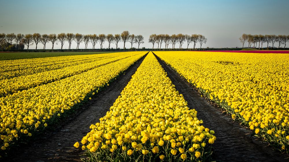 Photograph by Cynthia Elen