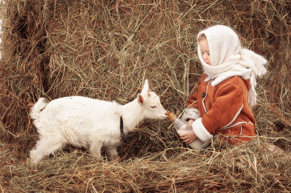 Фотография автора Татьяна Щелухина