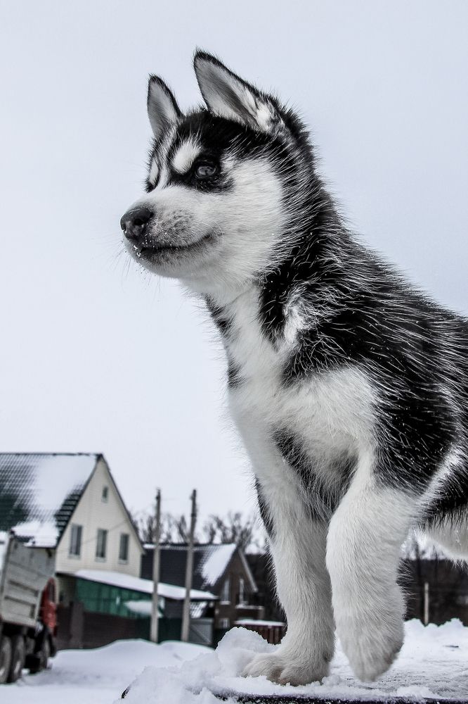 Photograph by Александр Карасев