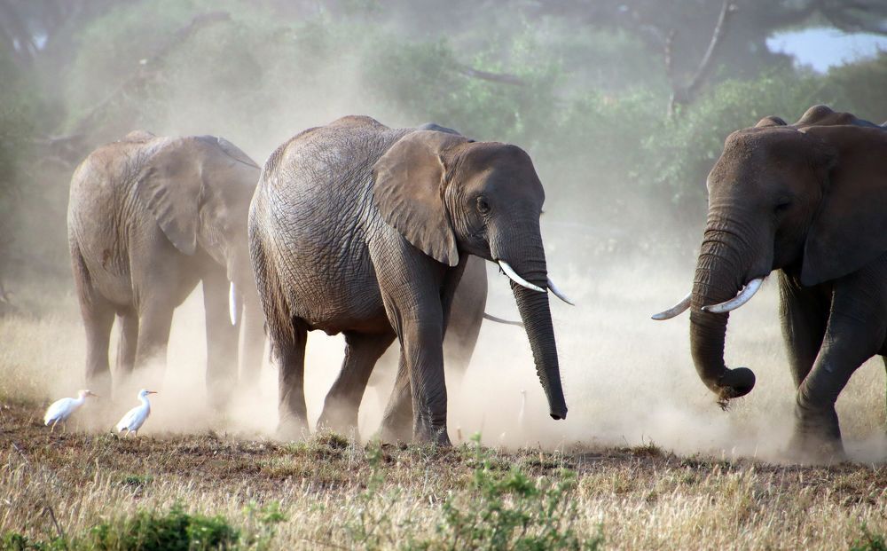 Photograph by Epp Tappel