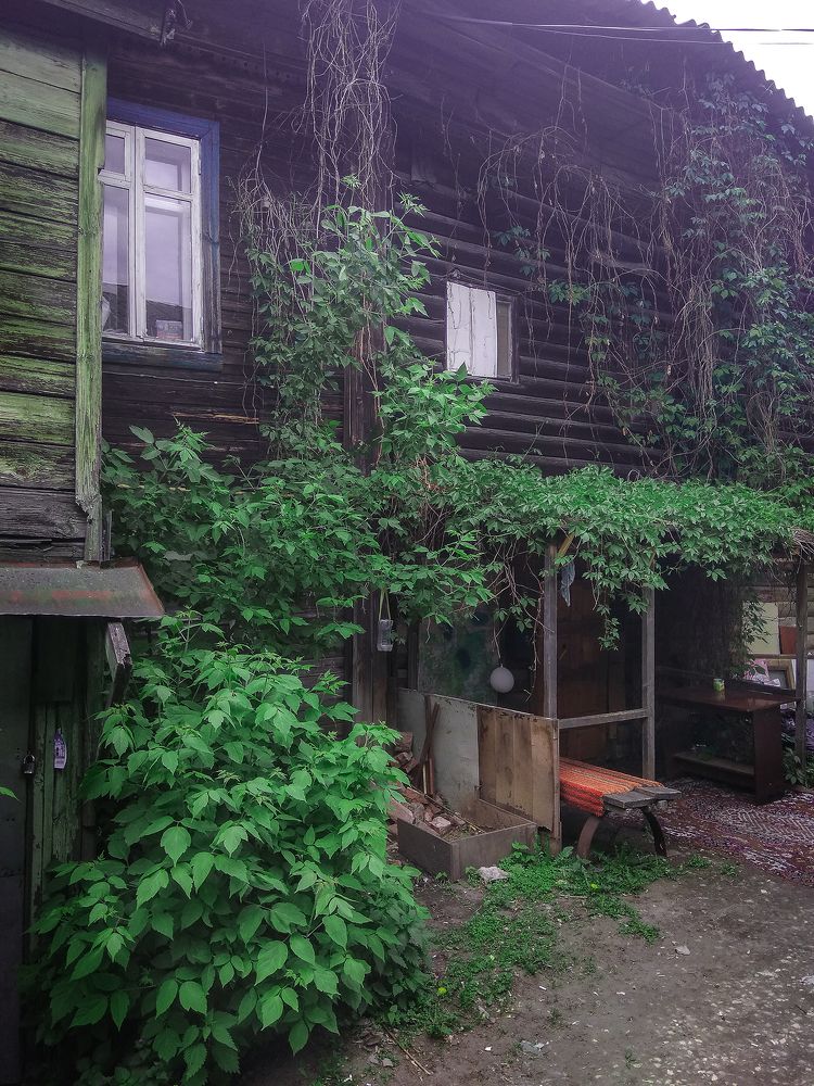 Photograph by Алексей Трифонов