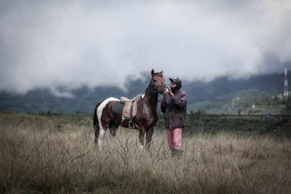 Photograph by Muhammad Zulkifli Kamaruddin