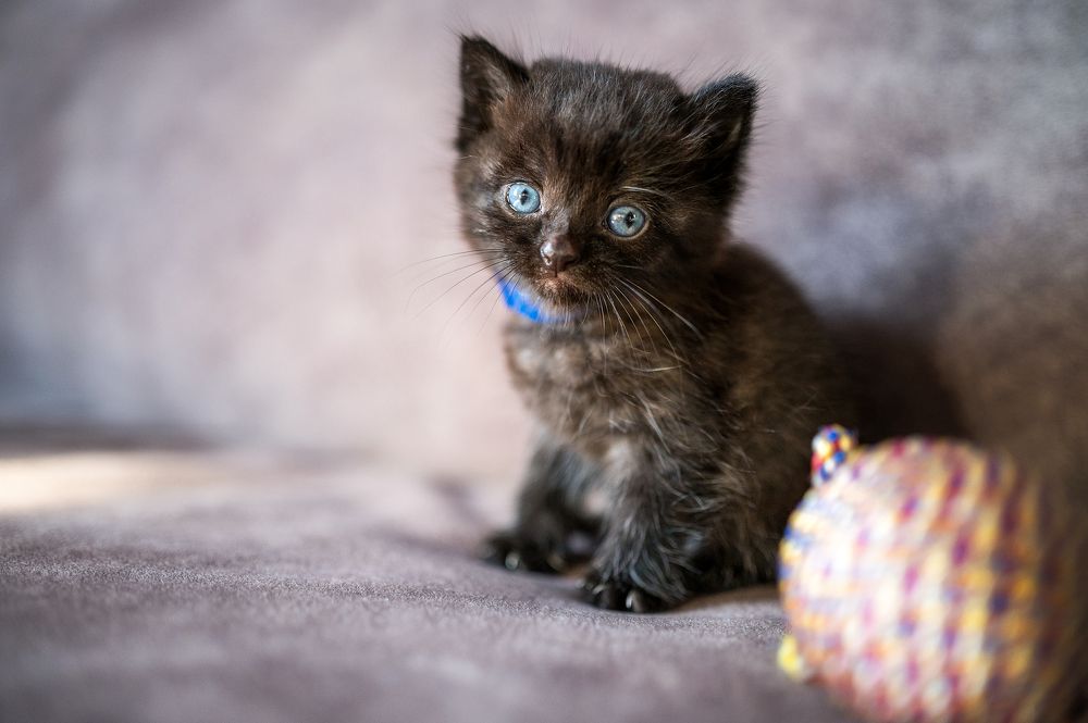 Photograph by Екатерина Казак