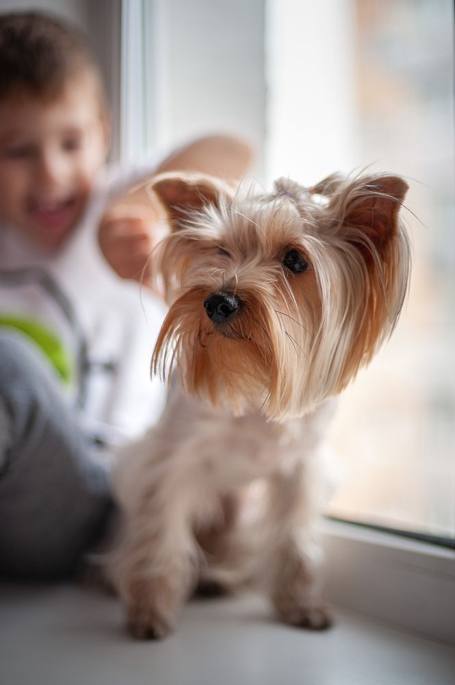 Photograph by Екатерина Казак